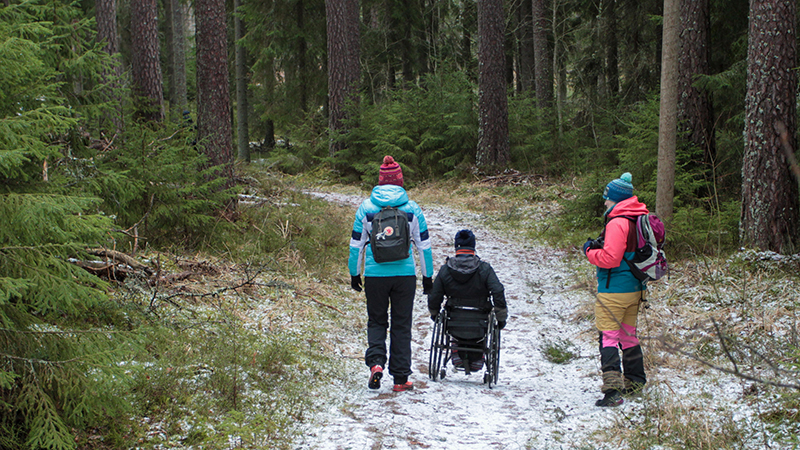 Kaksi kävelevää ja yksi pyörätuolilla liikkuva luontoretkeilijä lumisella, leveällä metsäpolulla korkeiden puiden keskellä.
